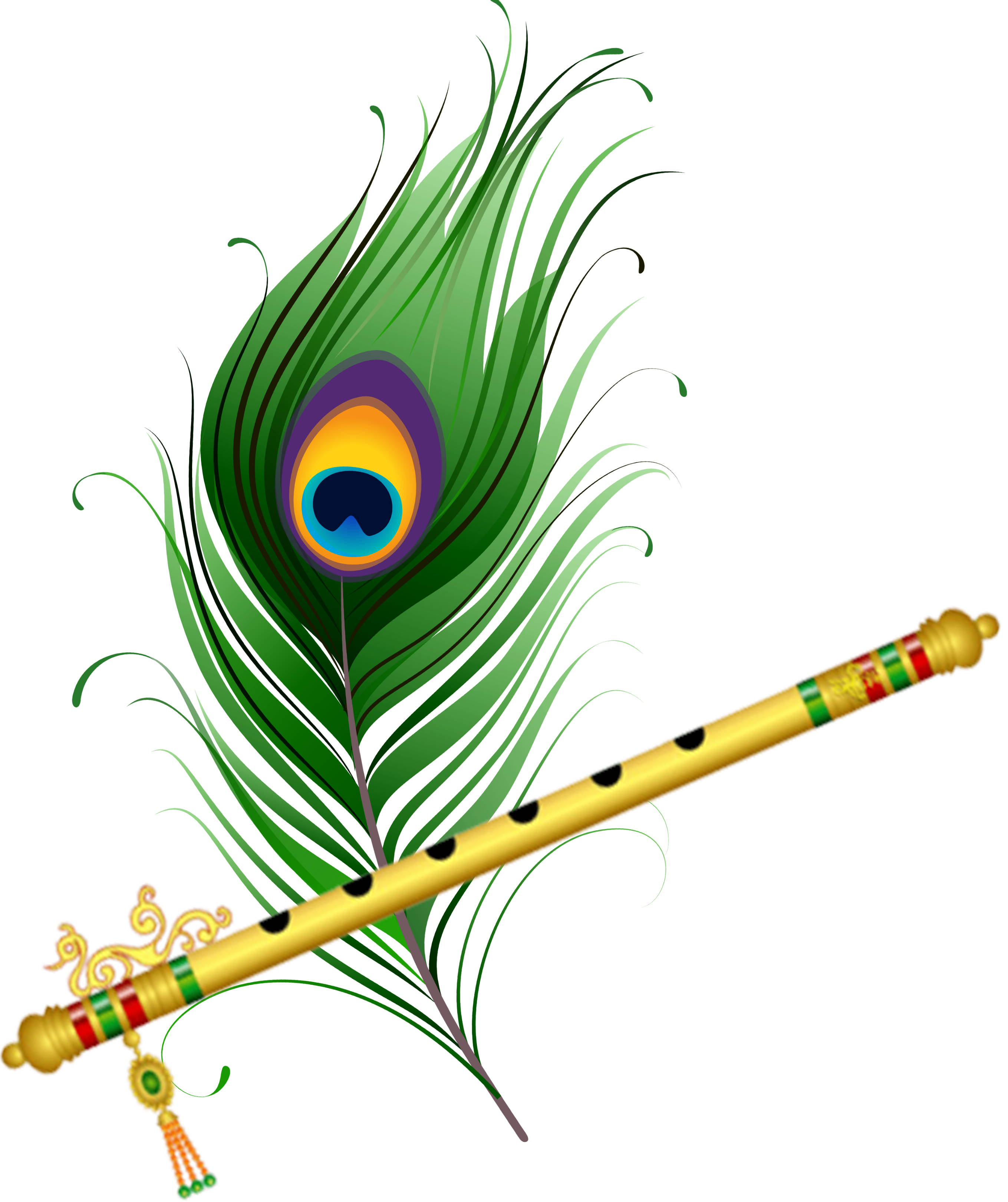 Peacock Feather
